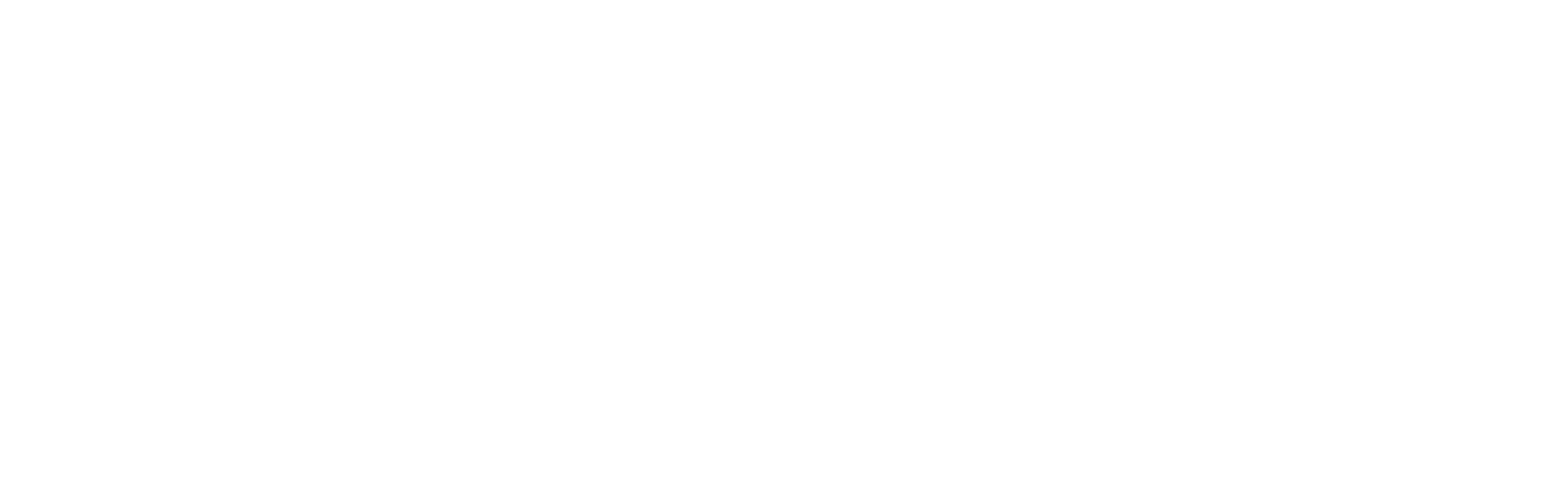 Usavibz