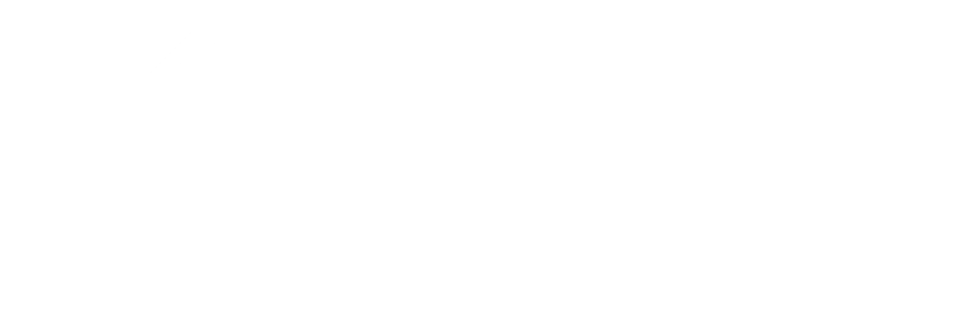 Usavibz